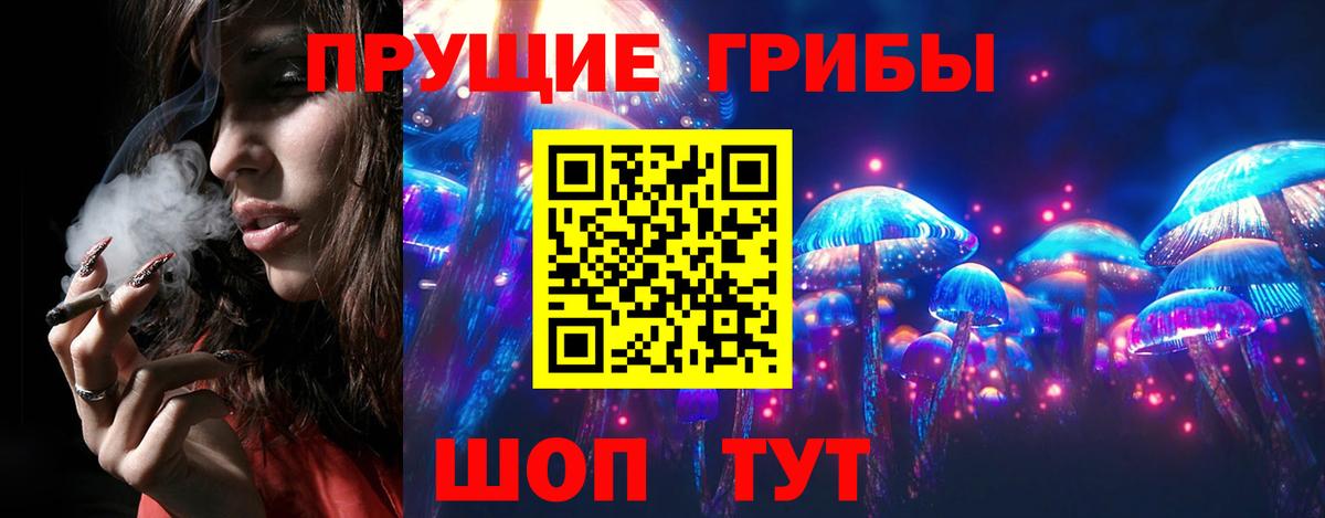 Галлюциногенные грибы Psilocybe  Вход с VPN  Бор 